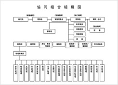 組織・役員